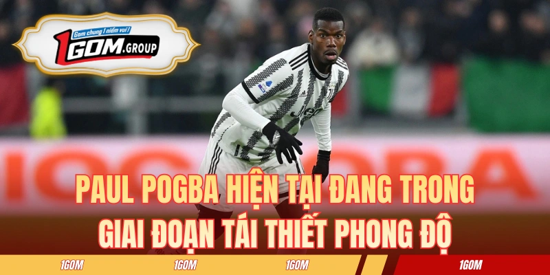 Paul Pogba hiện tại đang trong giai đoạn tái thiết phong độ