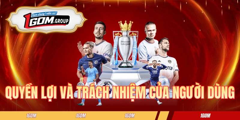 Quyền lợi và trách nhiệm của người dùng