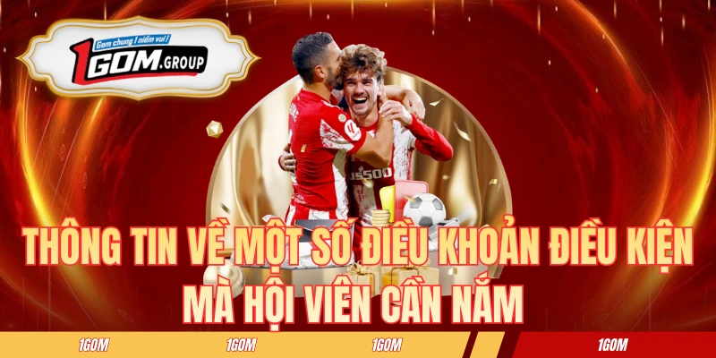 Thông tin về một số điều khoản điều kiện mà hội viên cần nắm 